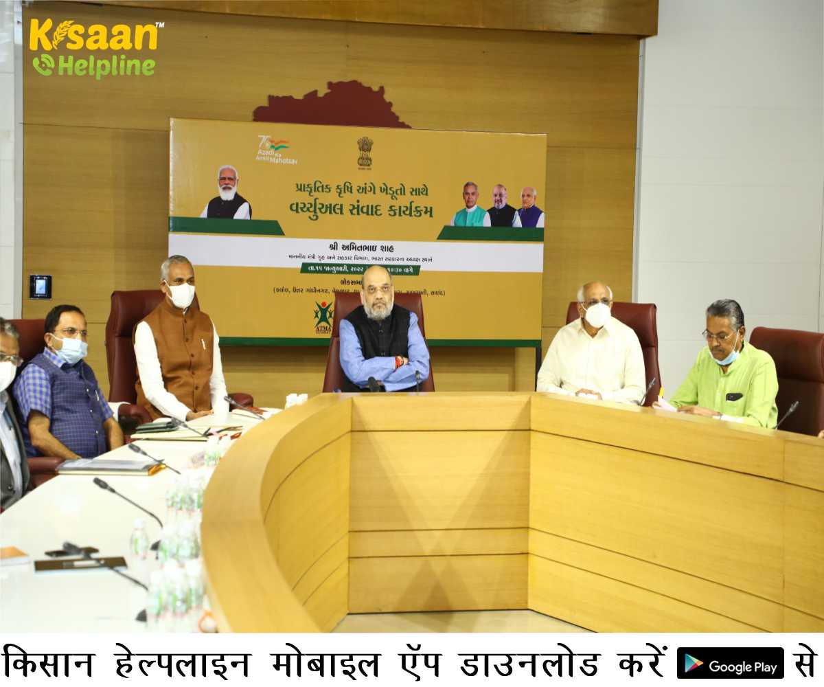 Organic Farming: जैविक खेती की ओर मुड़ें, शुरू करें नई हरित क्रांति - अमित शाह Organic Farming: जैविक खेती की ओर मुड़ें, शुरू करें नई हरित क्रांति - अमित शाह